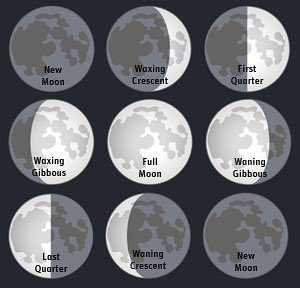 How Your Moon Sign Affects Your Emotional Availability Online