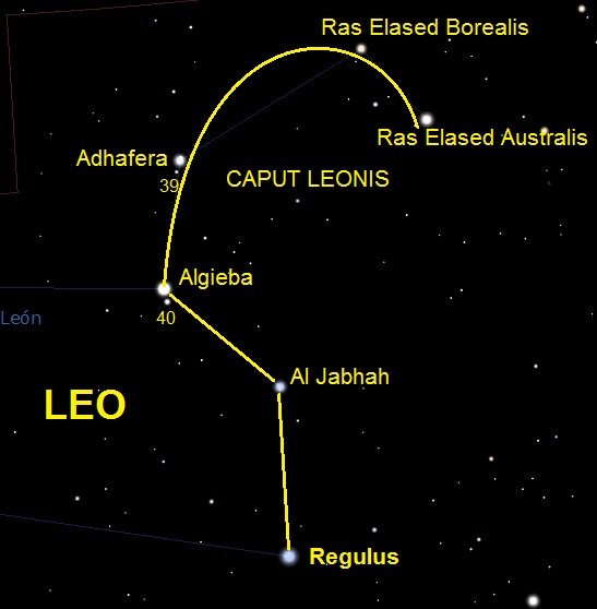The⁣ Regal Charisma: Exploring the Fiery Nature of Mars in‌ Leo