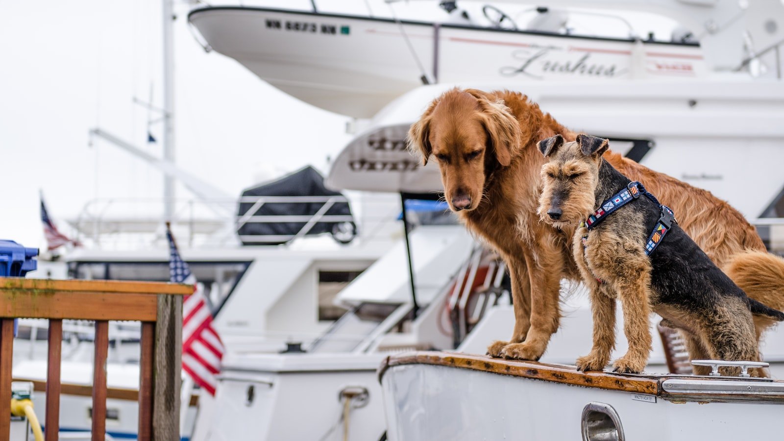 Finding Harmony at Sea: Creating the Perfect Sailing Experience for Sagittarius Folks