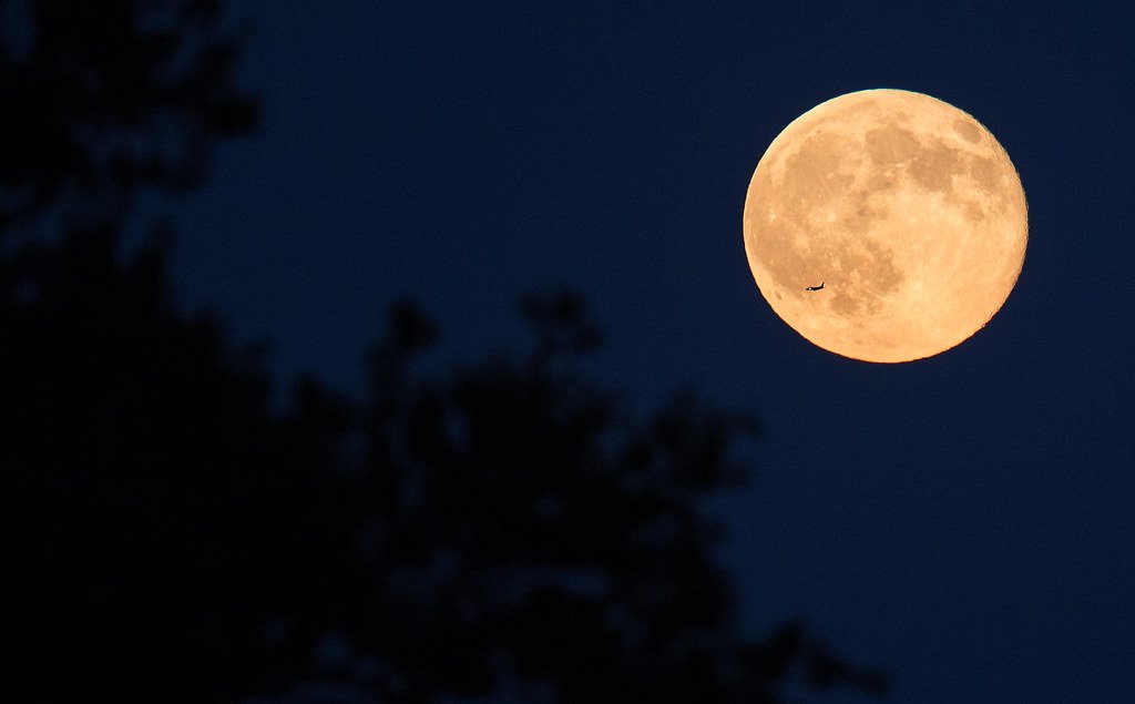 How the Moon Affects Family Dynamics