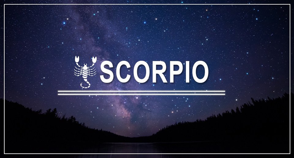 Scorpio and Suspense: A Thriller Movie Night