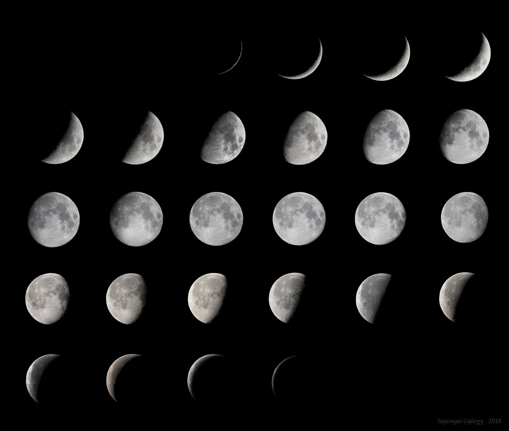 - Unveiling the Impact of Lunar Cycles on Employee Interactions and Productivity