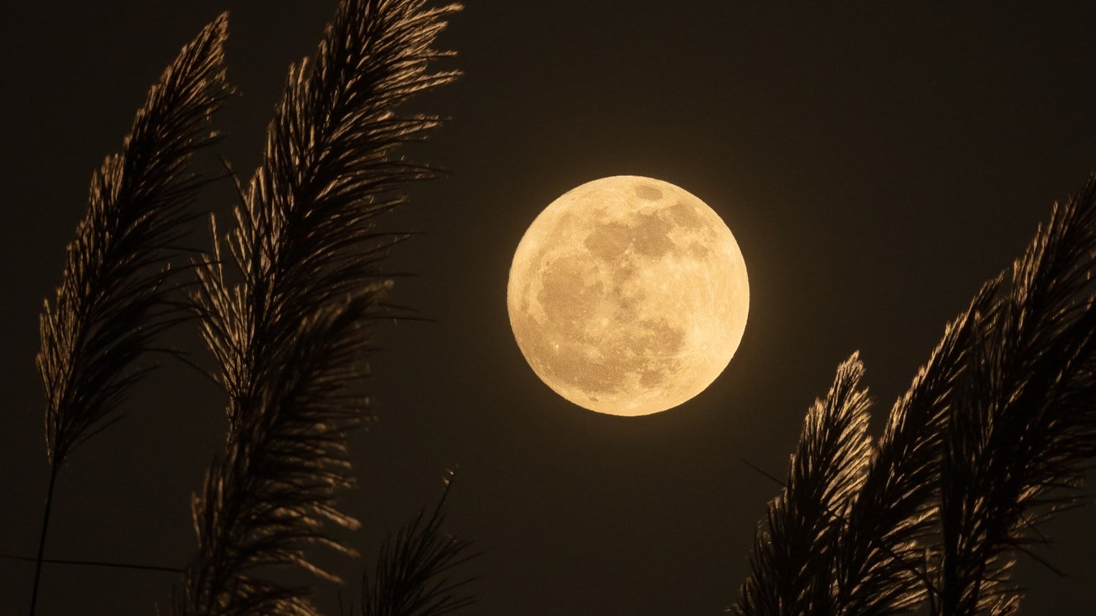 Exploring the Influence of the Moon on Virtual Bonds