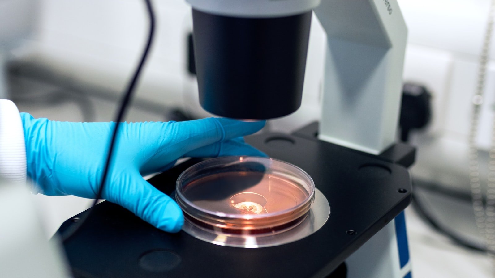 A Mysterious Blend: The Astrological Chemistry Between Capricorn and Coffee