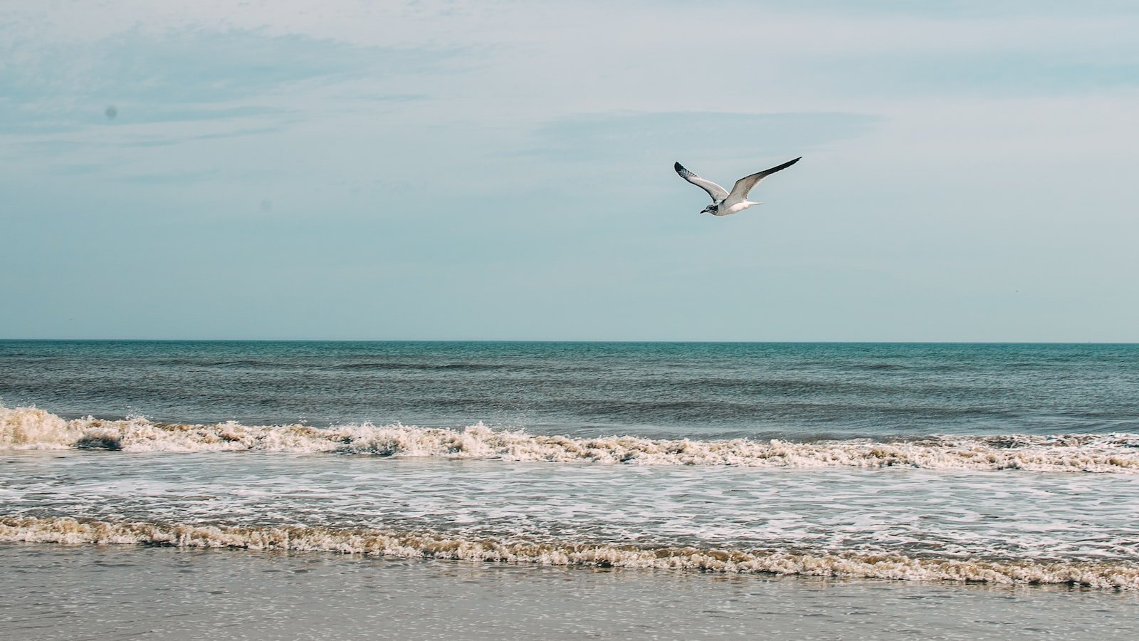 Unearthing the Imagination: Neptune's Influence on Love Ideals in Virgo