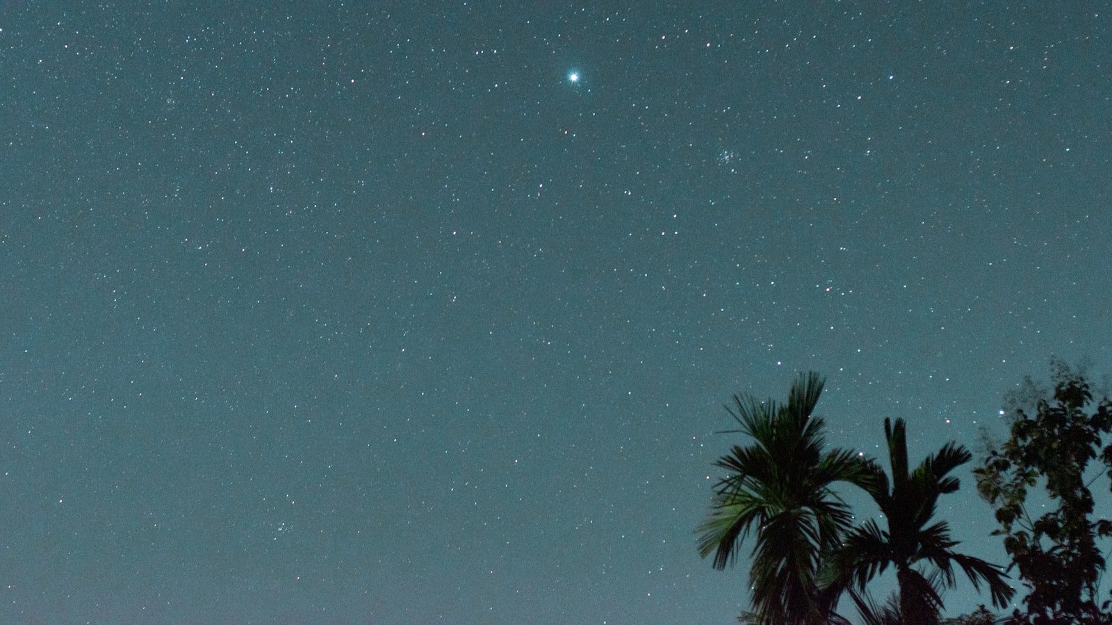 Harnessing the Power of Venus: Tips and Tricks for Enhancing Your Dating Life