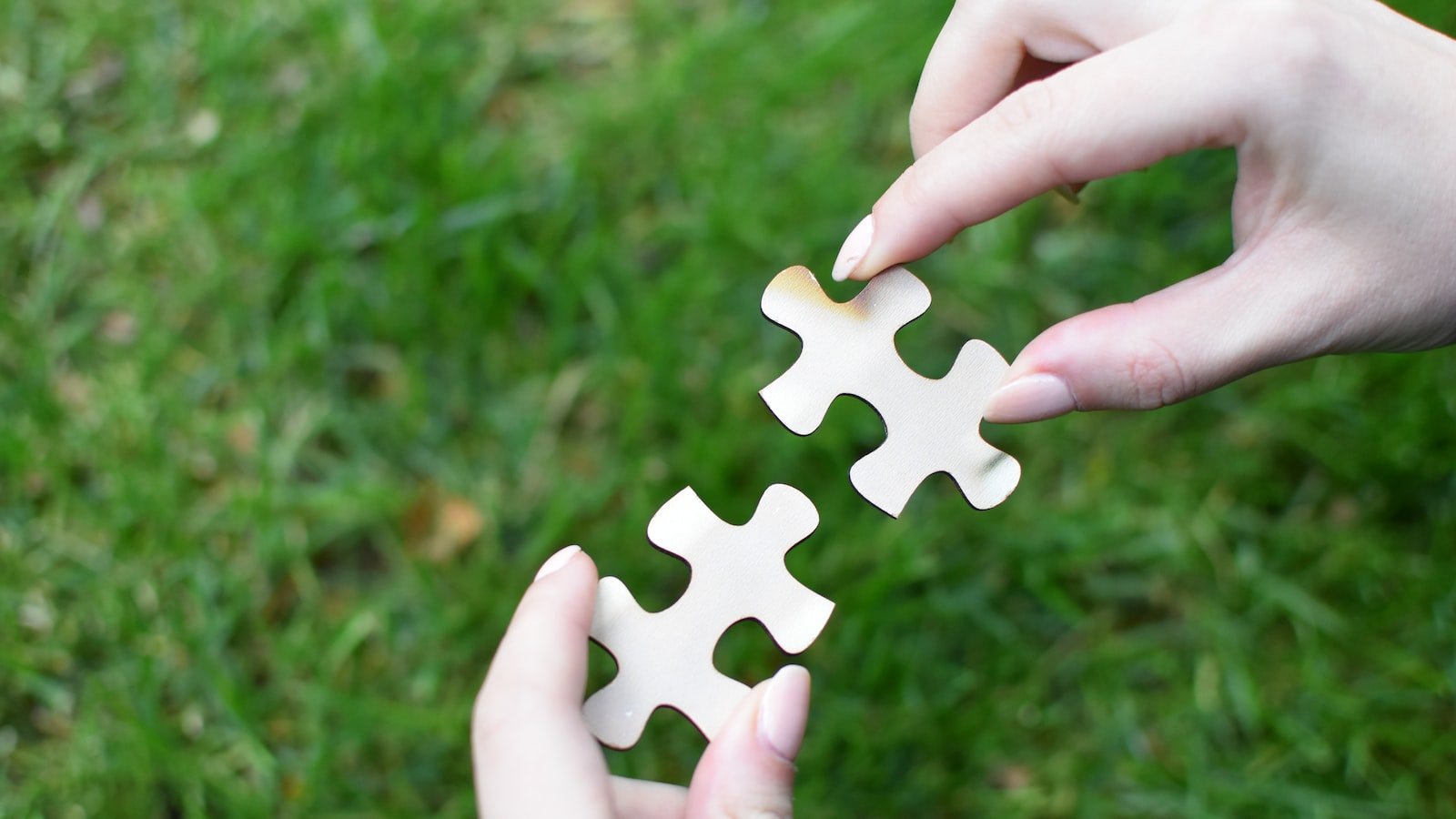 photo 1637094410849 96576479b731