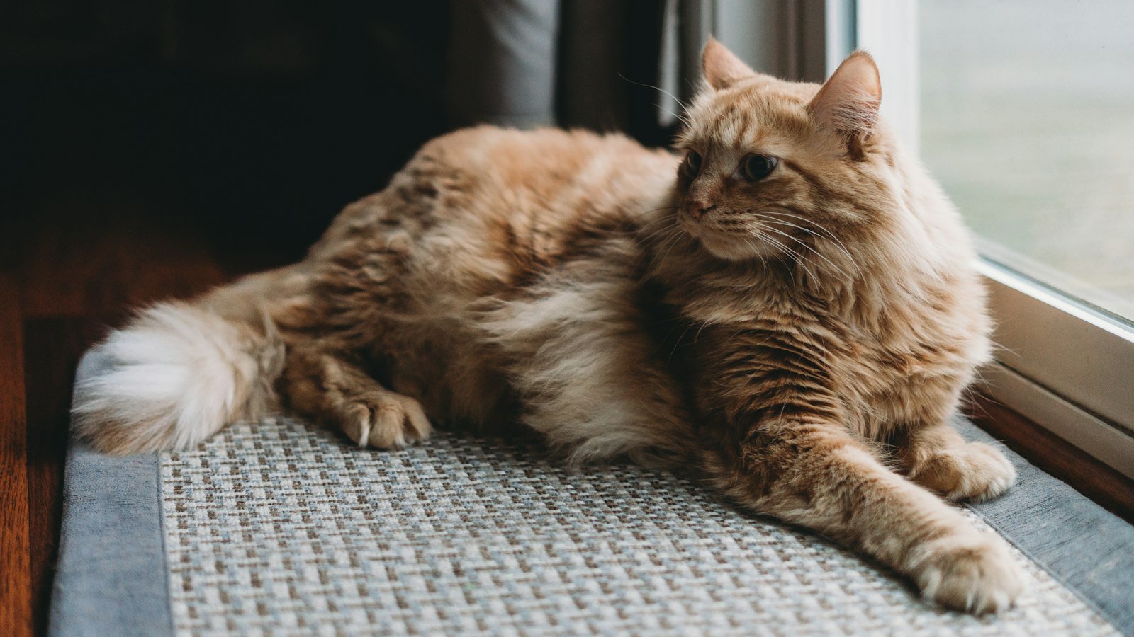 Heading 1: Unleashing the Adventurous Side: Venus in Sagittarius' Love Style