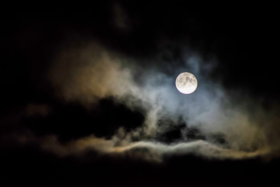 How a Full Moon Illuminated Their Love Story
